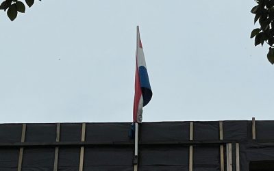 Hoogste punt