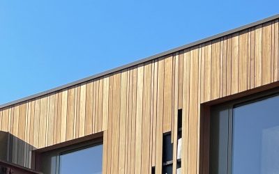 Hout